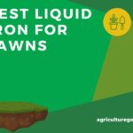 Best Liquid Iron For Lawns