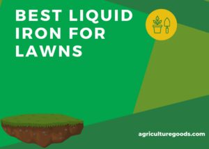 Best Liquid Iron For Lawns