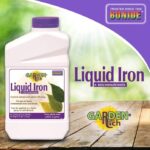 Bonide 037321002994 299 Liquid Iron