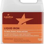 LawnStar Chelated Liquid Iron