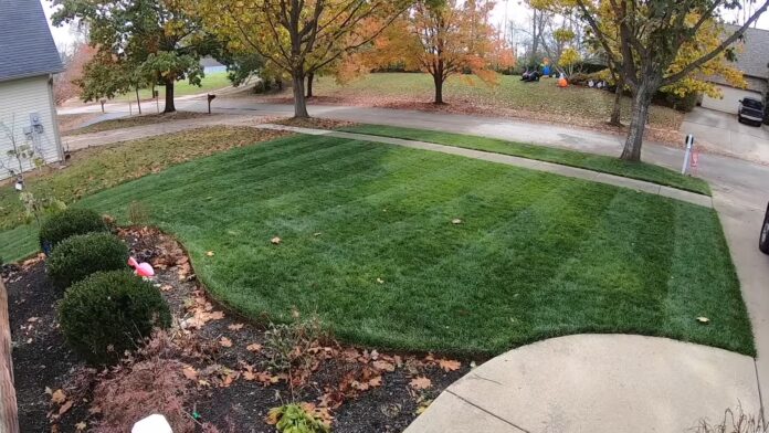 MAKE YOUR LAWN DARKER