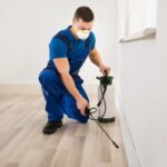 Choose the Right Pest Control Company