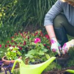 Gardening A Favourite Hobby After Retirement