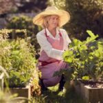 Gardening in a retirement facility