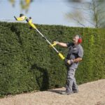 Hedge Trimmer & Extendable Pole