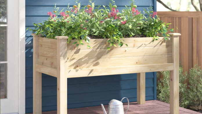 Elevated Garden Beds & Raised Planter Boxes