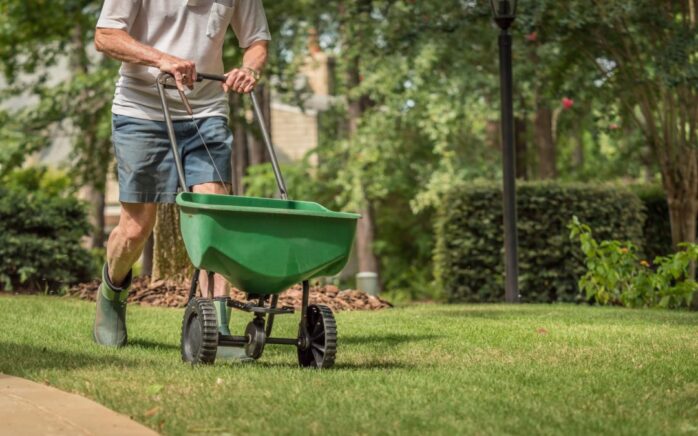 Fertilize Zoysia Grass