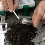 testing soil ph level