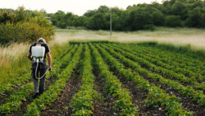 Best High Nitrogen Fertilizers
