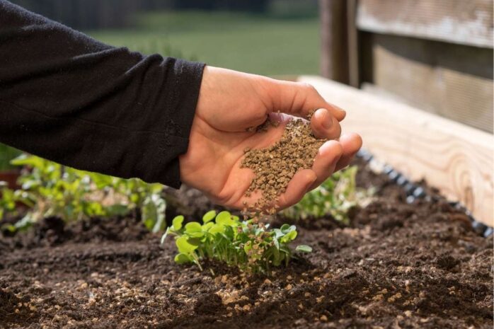 Best High Nitrogen Fertilizers