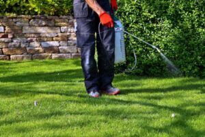 Best Liquid Lawn Fertilizer Concentrates