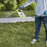 Best Liquid Lawn Fertilizer Concentrates