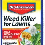 BioAdvanced 704160 Weed Killer for Lawns Concentrate