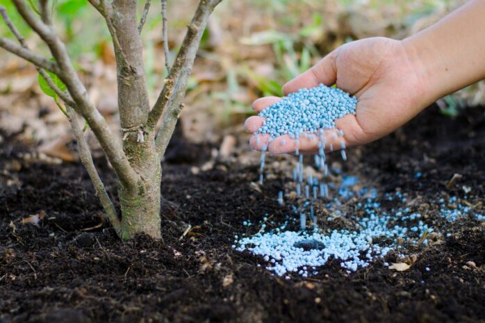 Fertilizer For Trees And Shrubs