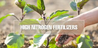 High Nitrogen Fertilizers