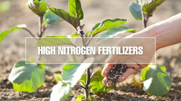 High Nitrogen Fertilizers