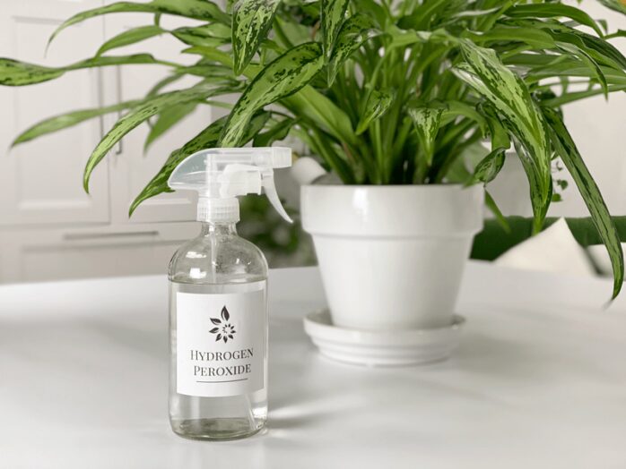 Hydrogen Peroxide for Indoor Plants