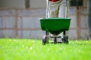 Weed & Feed for Lawns