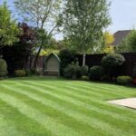 Weed & Feed for Lawns