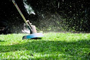 best .095 Trimmer Lines