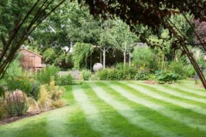Weed & Feed for Lawns