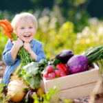 Cute little boy holding a bunch of fresh organic carrots in domestic garden. Healthy family lifestyle.