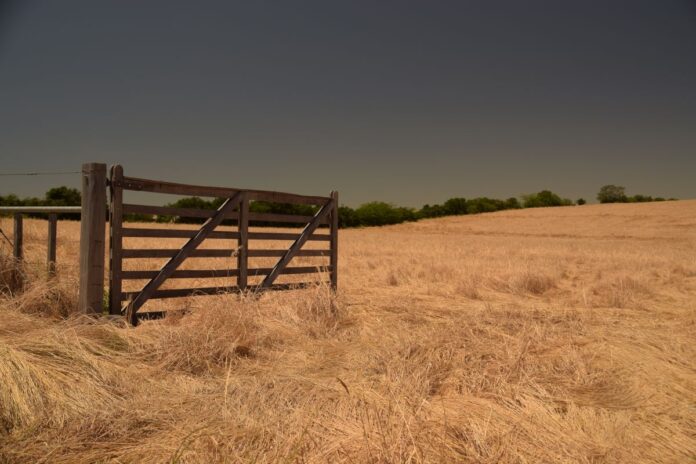 5 Reasons Why Buying A Ranch Is A Good Investment In 2024 Agriculture   Ranch Main 