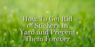 Hoe zich te ontdoen van stickers in de tuin en ze voor altijd te voorkomen