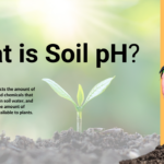 Soil pH facts