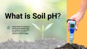 Soil pH facts