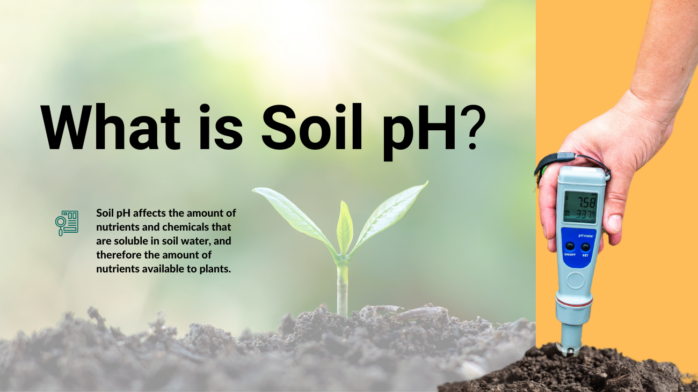 Soil pH facts