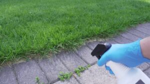 Vinegar Weed Killer