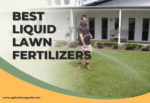 Best Liquid Lawn Fertilizers