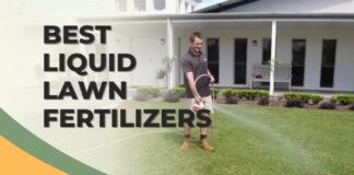 Los mejores fertilizantes líquidos para césped