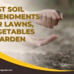 Best Soil Amendments for Lawns
