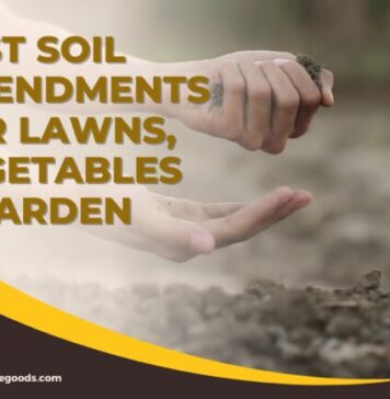 Meilleurs amendements de sol pour les pelouses