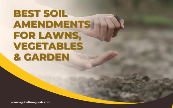 Best Soil Amendments for Lawns