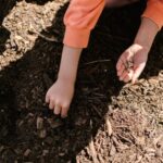 Determine the health of your garden soil