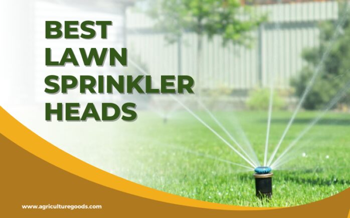 Keeping your Lawn Watered and Mowed