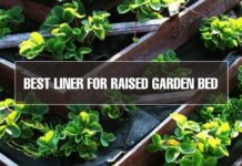 Raised Garden Bed Reviews