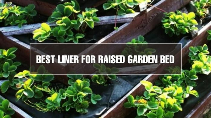 Raised Garden Bed Reviews