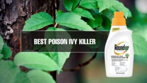 methods to kill poison ivy