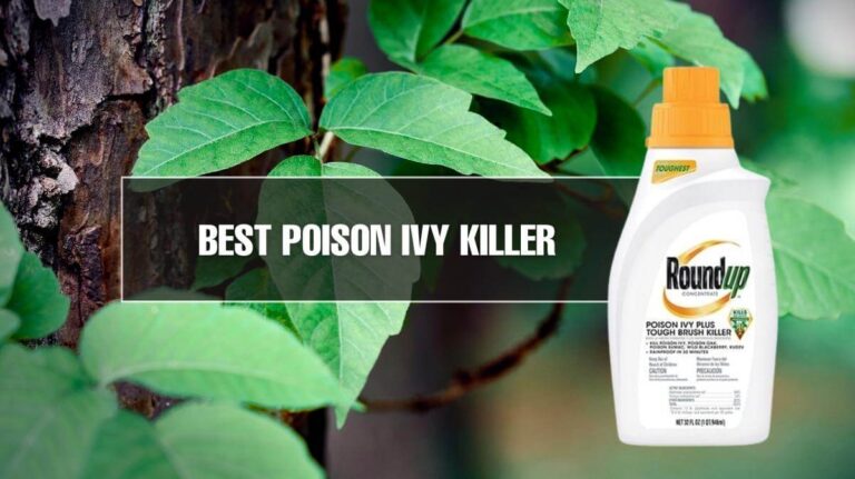 10 Best Poison Ivy Killer 2023 Best Rated Options Available   Methods To Kill Poison Ivy 768x431 