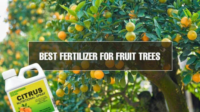 Fertilizer for Fruit Trees