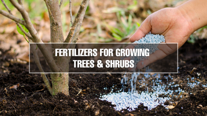 Fertilizers for Growing Trees and Shrubs