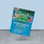 Scotts Evergreen Flowering Tree & Shrub Continuous Release Plant Food