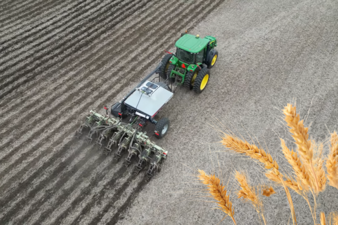 Sowing time in Wheat cultivation