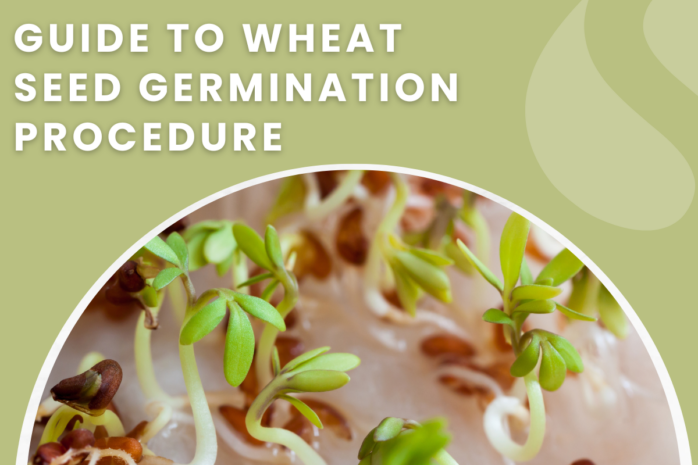 seed germination guide