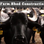 Dairy Farm Shed Construction Cost 1