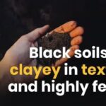 Classification of Black Soil